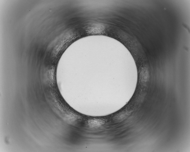 X0000103900739200810171613