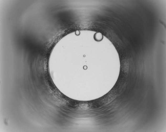 X0000103900740200810171613