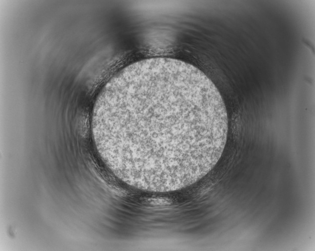 X0000103900741200810171613