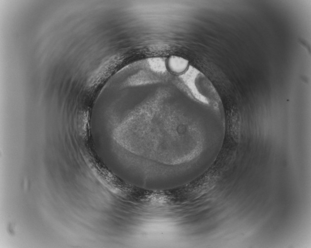 X0000103900742200810171613