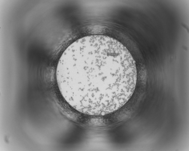 X0000103900744200810171613