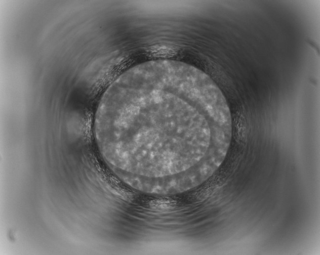 X0000103900745200810171613