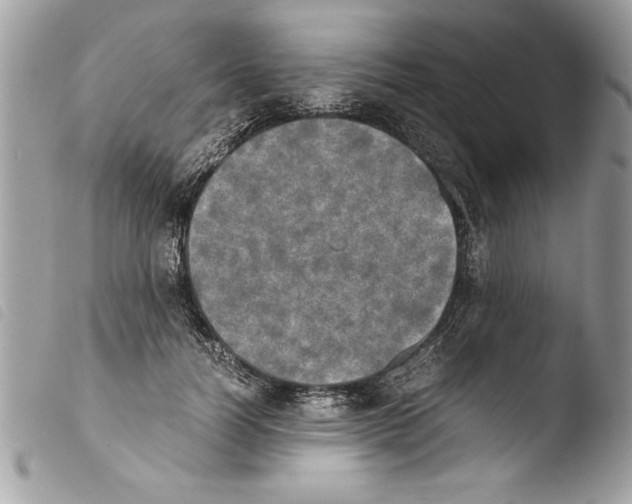 X0000103900746200810171613