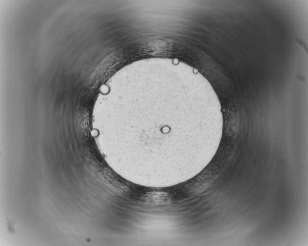 X0000103900748200810171613