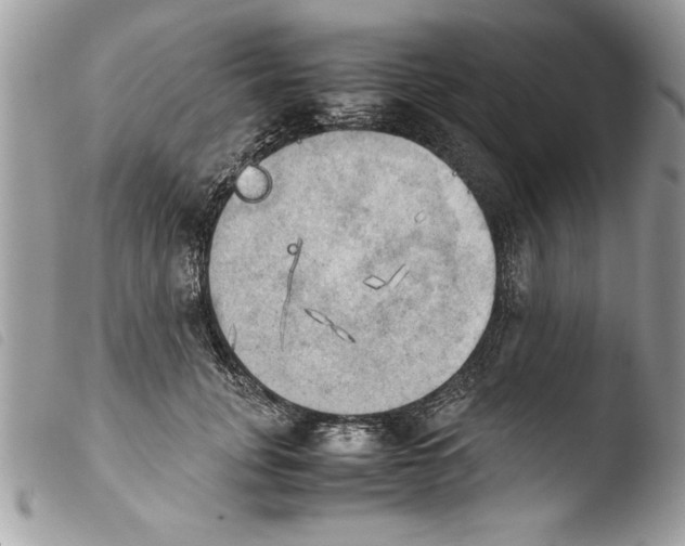 X0000103900751200810171613