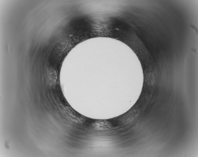 X0000103900752200810171613