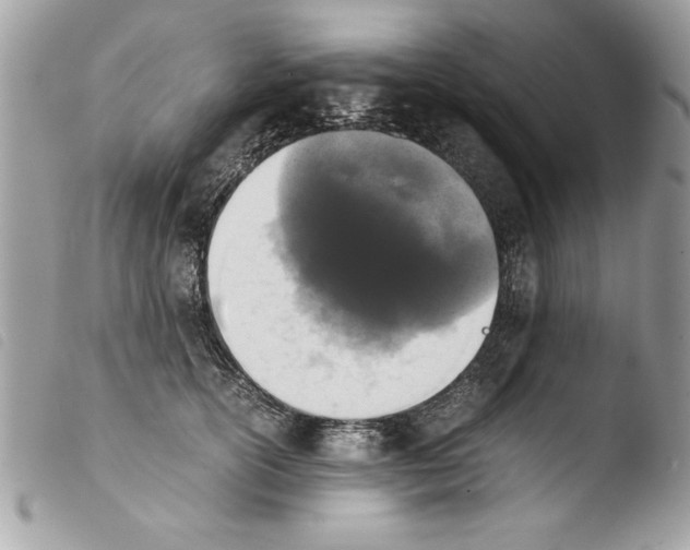 X0000103900754200810171613