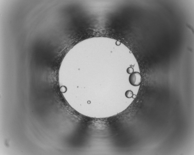 X0000103900756200810171614