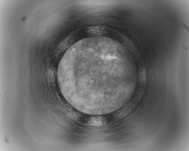 X0000103900757200810171614