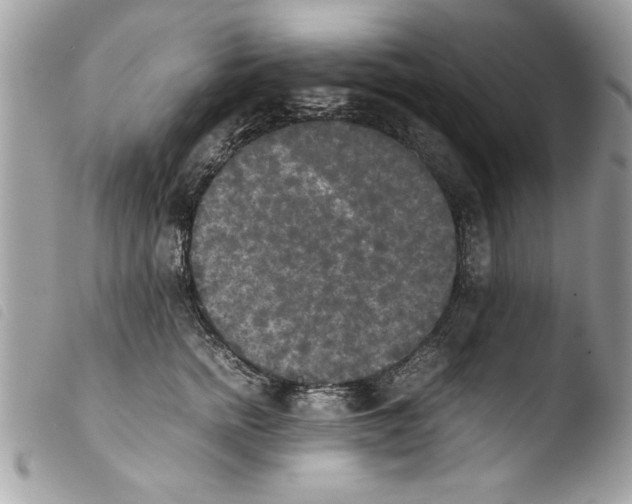 X0000103900758200810171614