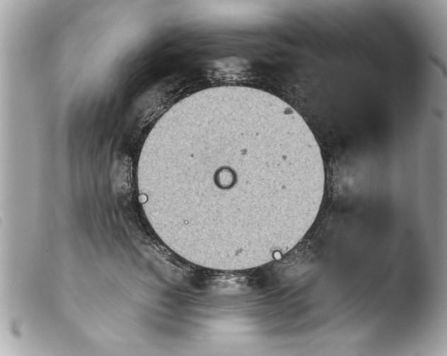 X0000103900760200810171614