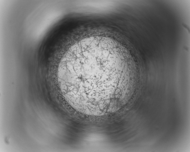 X0000103900762200810171614