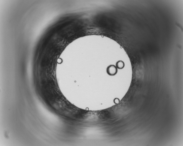 X0000103900764200810171614