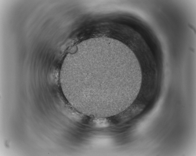 X0000103900767200810171614