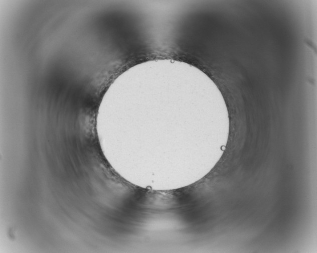 X0000103900768200810171614