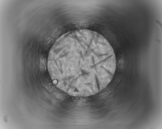 X0000103900772200810171613