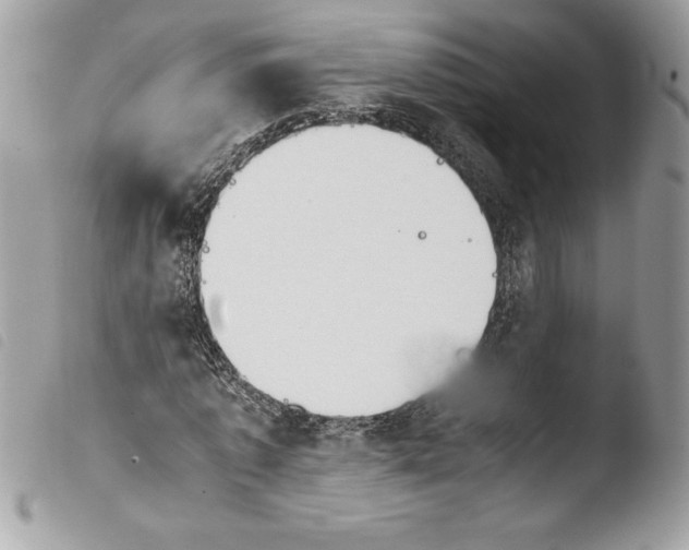 X0000103900773200810171613