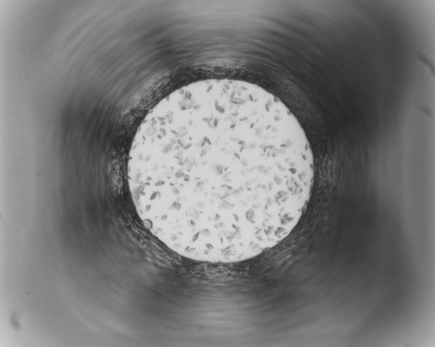 X0000103900774200810171613