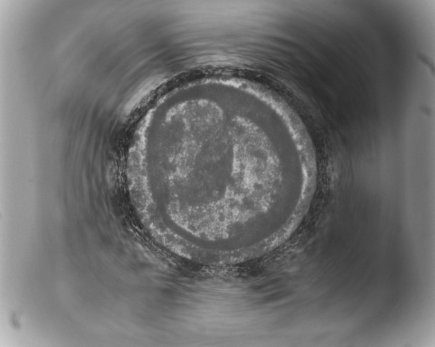 X0000103900775200810171613