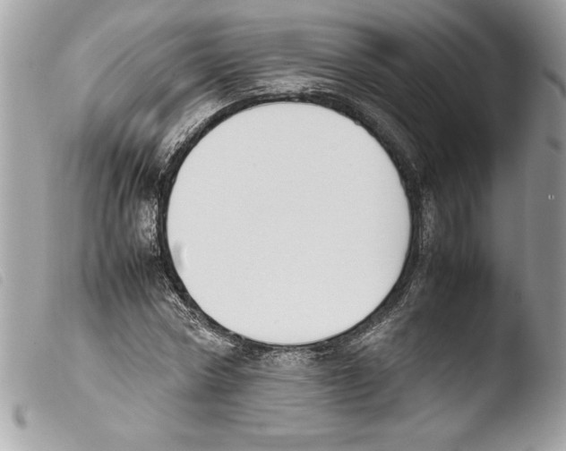 X0000103900778200810171613