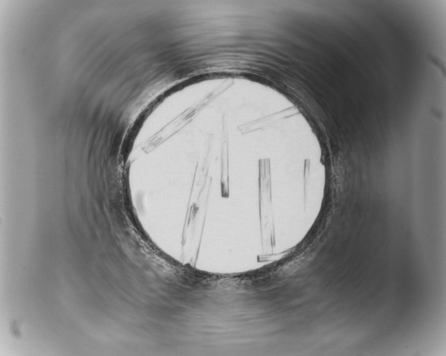 X0000103900779200810171613