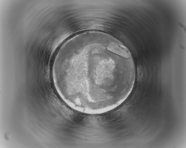 X0000103900780200810171613