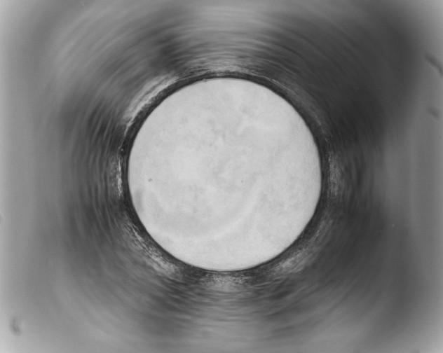 X0000103900782200810171613