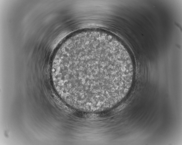 X0000103900783200810171613