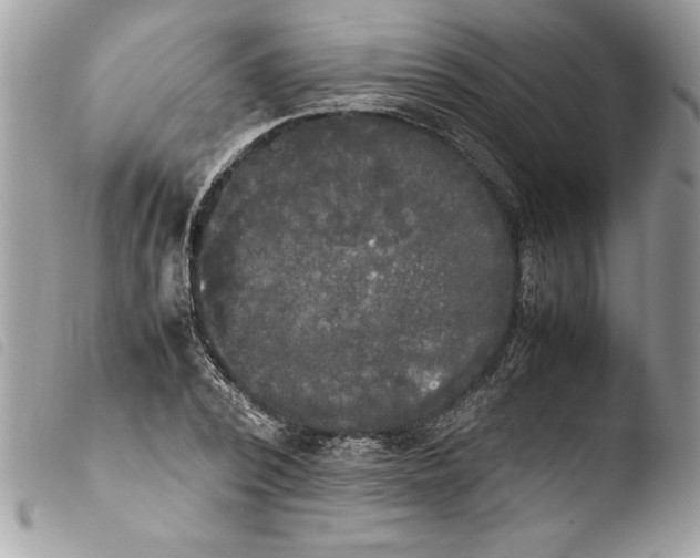 X0000103900784200810171613