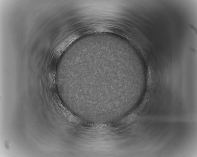 X0000103900785200810171613