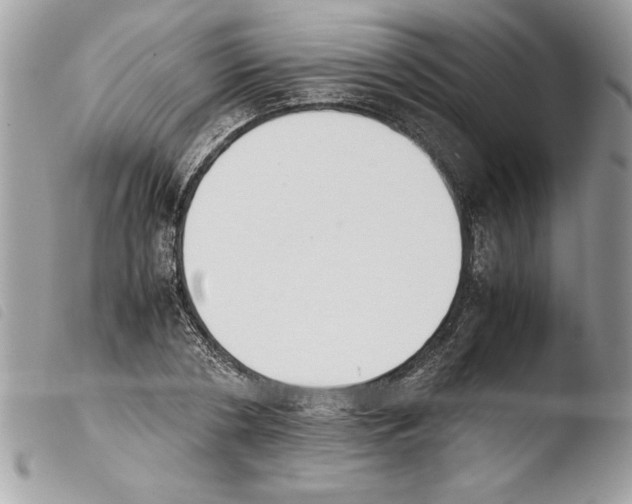 X0000103900786200810171613