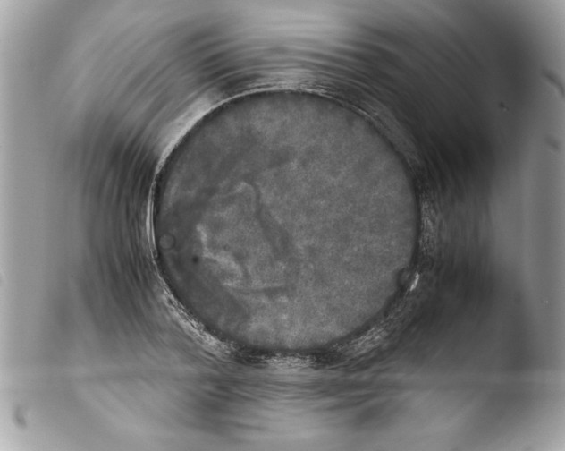 X0000103900788200810171613