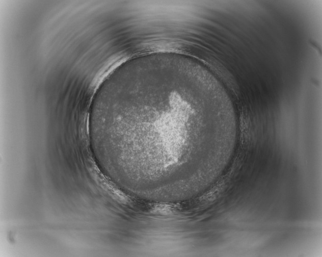 X0000103900790200810171613