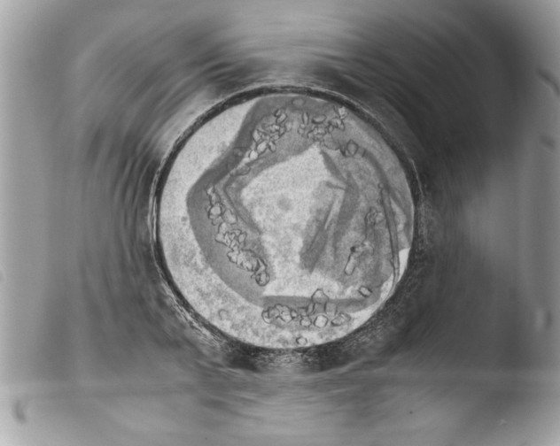 X0000103900791200810171613