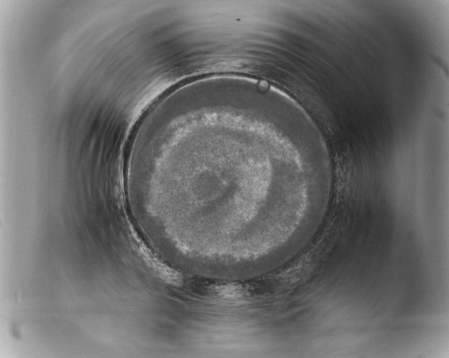 X0000103900792200810171613