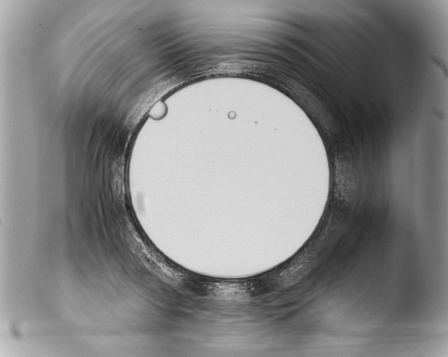 X0000103900794200810171613