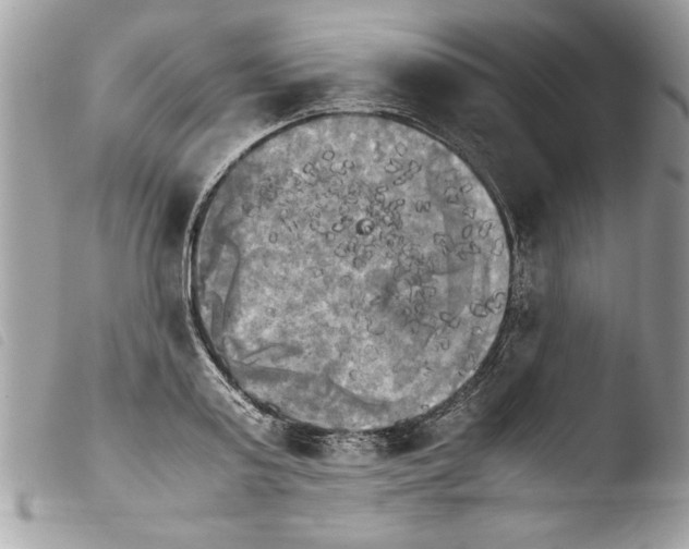 X0000103900795200810171613