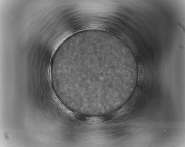 X0000103900796200810171613