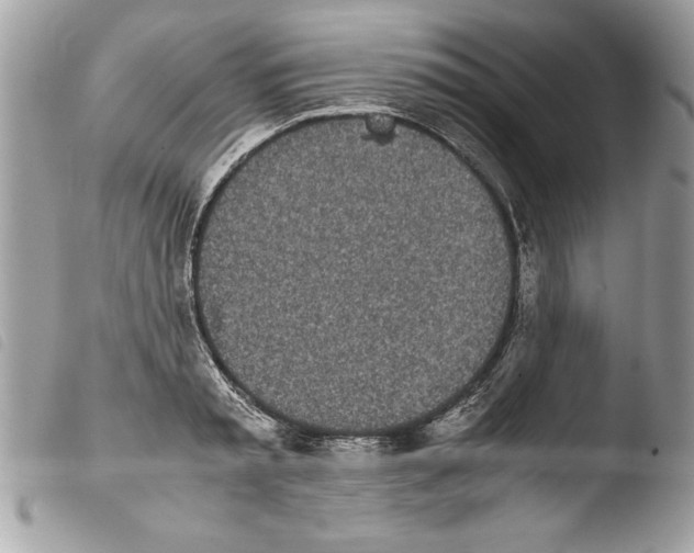 X0000103900797200810171613