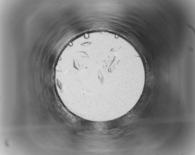 X0000103900799200810171613