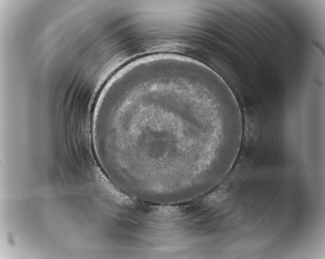 X0000103900800200810171612