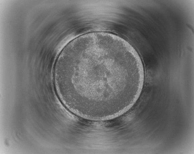 X0000103900803200810171612