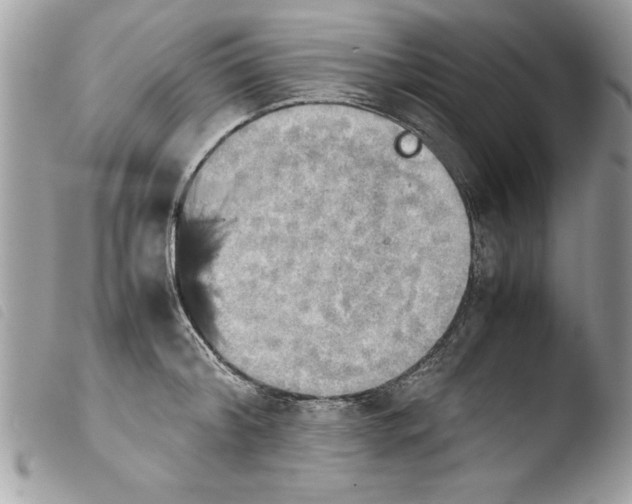 X0000103900804200810171612