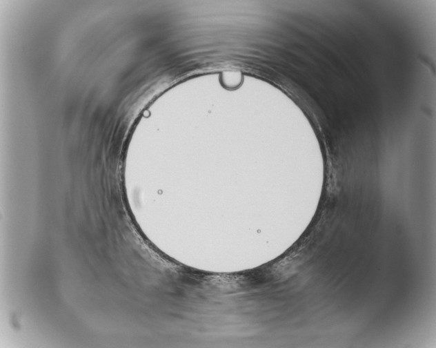 X0000103900805200810171612