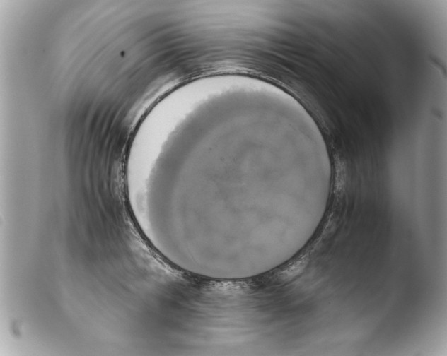 X0000103900806200810171612