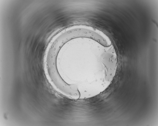 X0000103900807200810171612