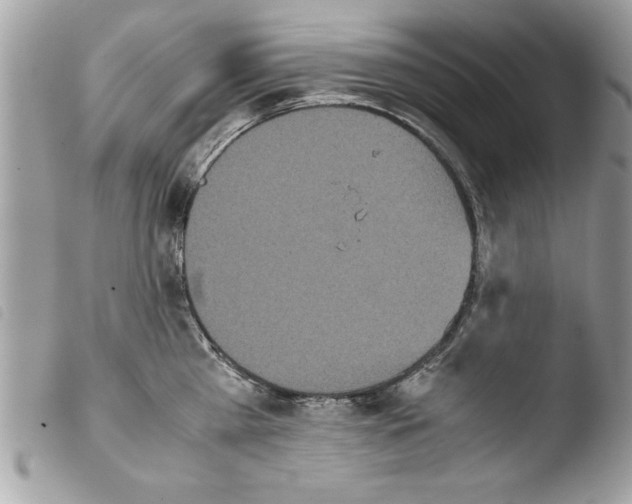 X0000103900809200810171612