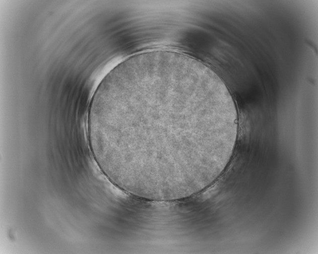 X0000103900812200810171612