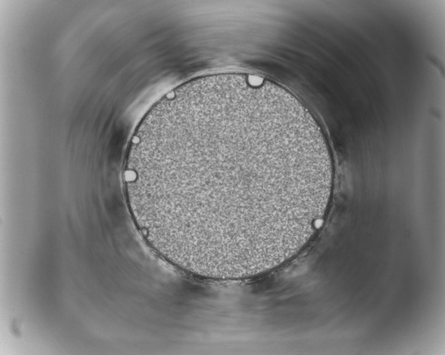 X0000103900813200810171612