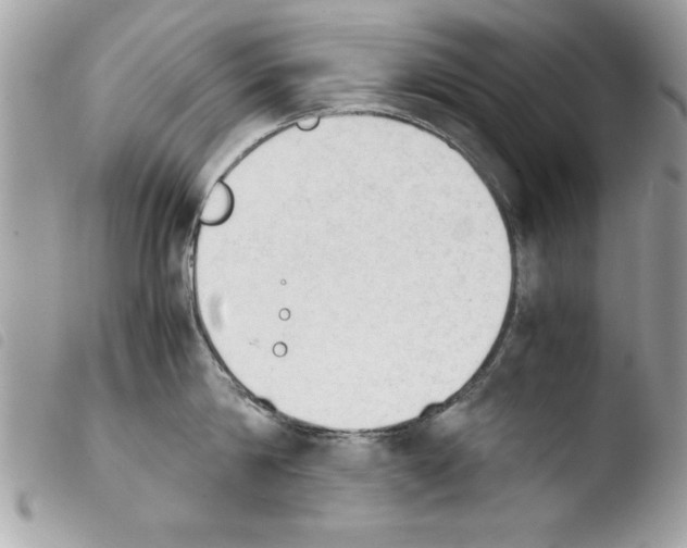 X0000103900814200810171612